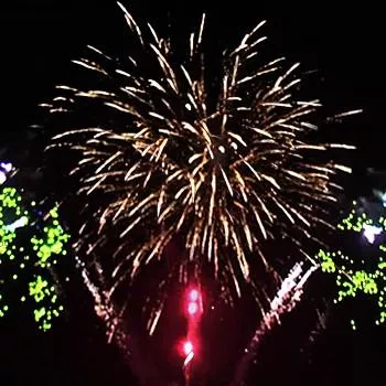 Яркое Удовольствие