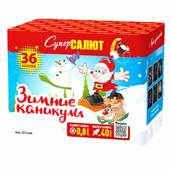 Зимние каникулы