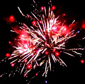 Резвятся малыши