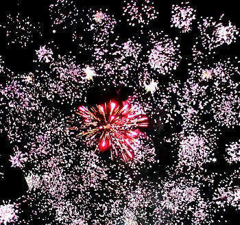 Резвятся малыши